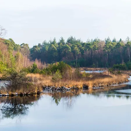 6p Newly Renovated With Unique Roof-terrace *