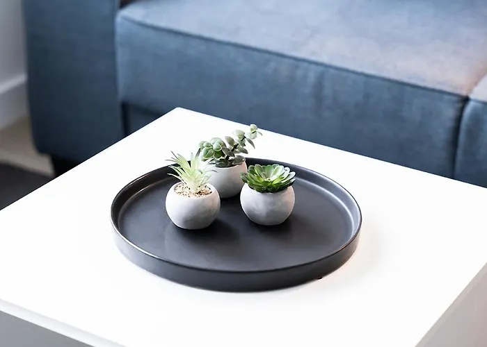 6p Newly Renovated With Unique Roof-terrace