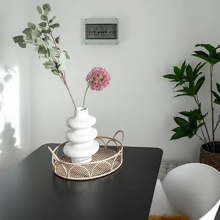 Apartment 6p Newly Renovated With Unique Roof-terrace