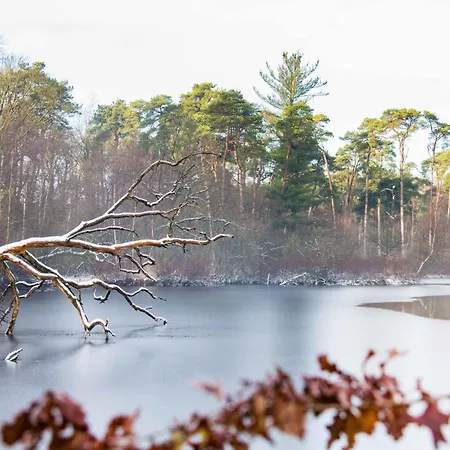 6p Newly Renovated With Unique Roof-terrace Апартаменты