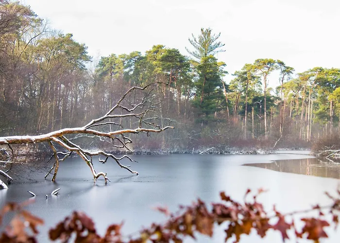 6p Newly Renovated With Unique Roof-terrace Διαμέρισμα