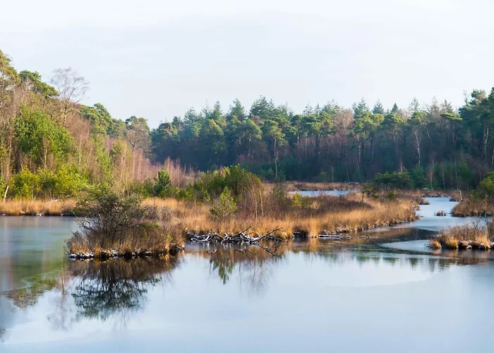 6p Newly Renovated With Unique Roof-terrace *